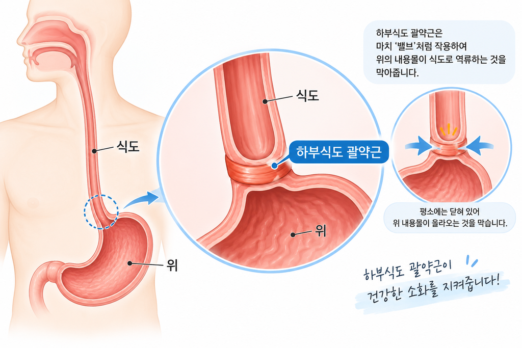 ChatGPT Image 2026년 9월 17일 오후 12 24 23