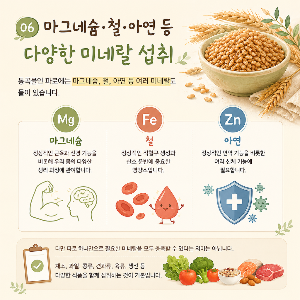 ChatGPT Image 2026년 9월 2일 오후 10 59 37