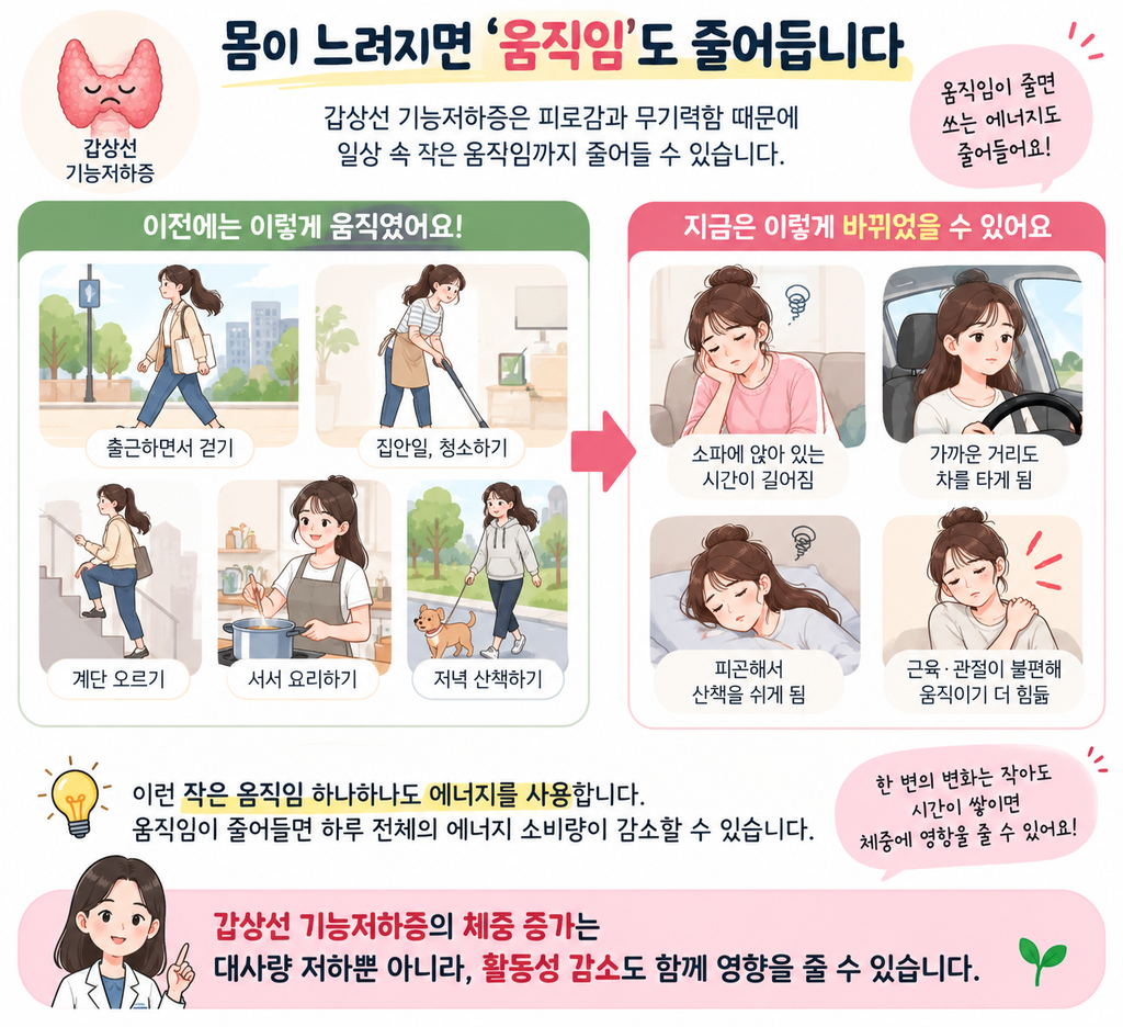 갑상선기능저하증체주증가 1
