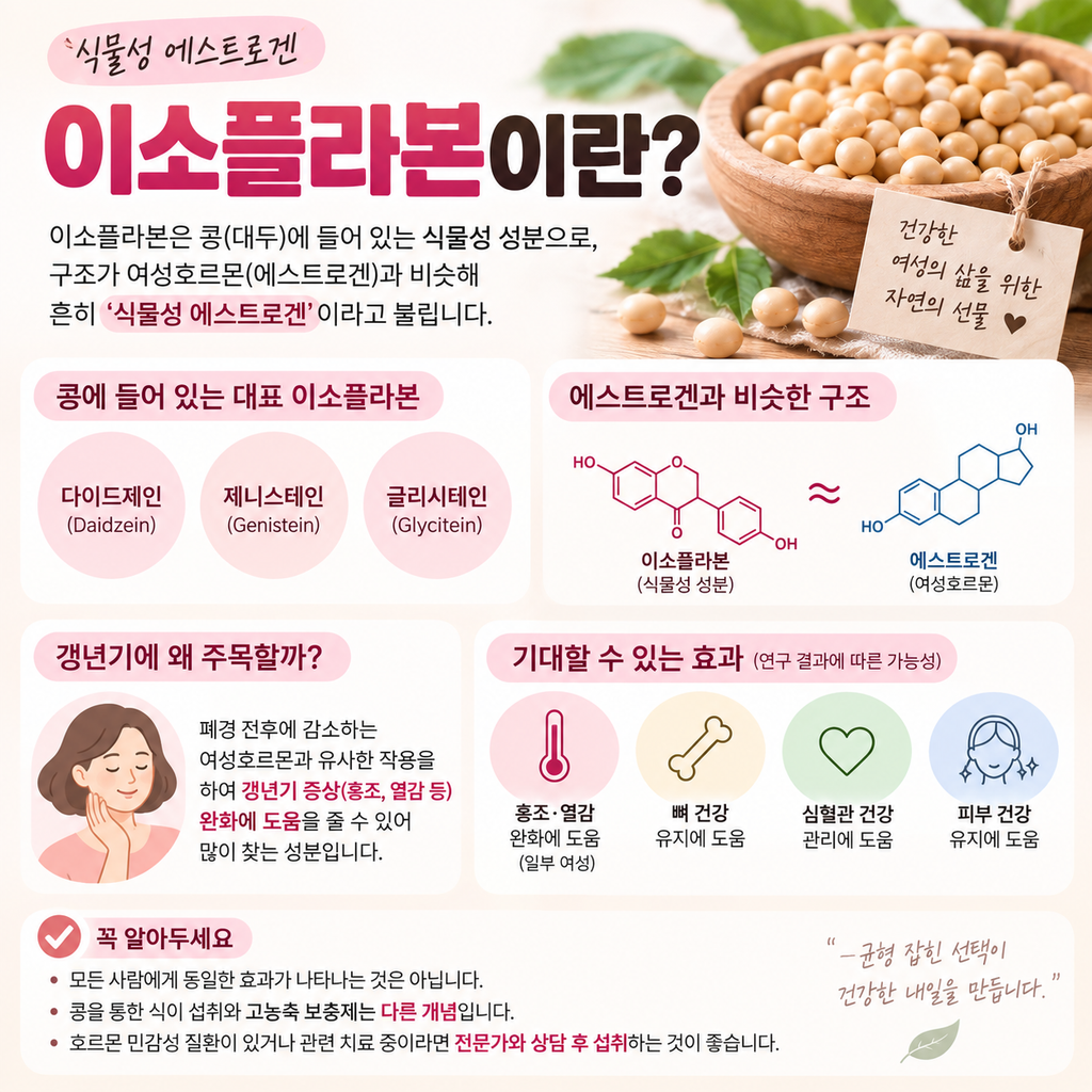 이소플라본이란